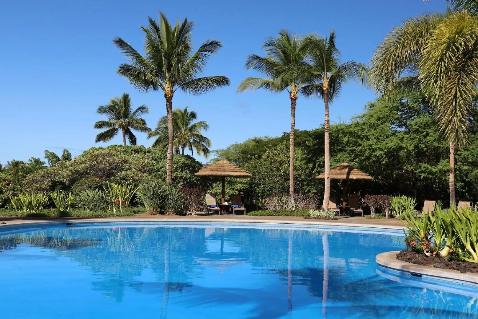 Tatil Evi Kohala Haven Heavenly 3Br Kamilo Home Closest To Pool Complex Waikoloa